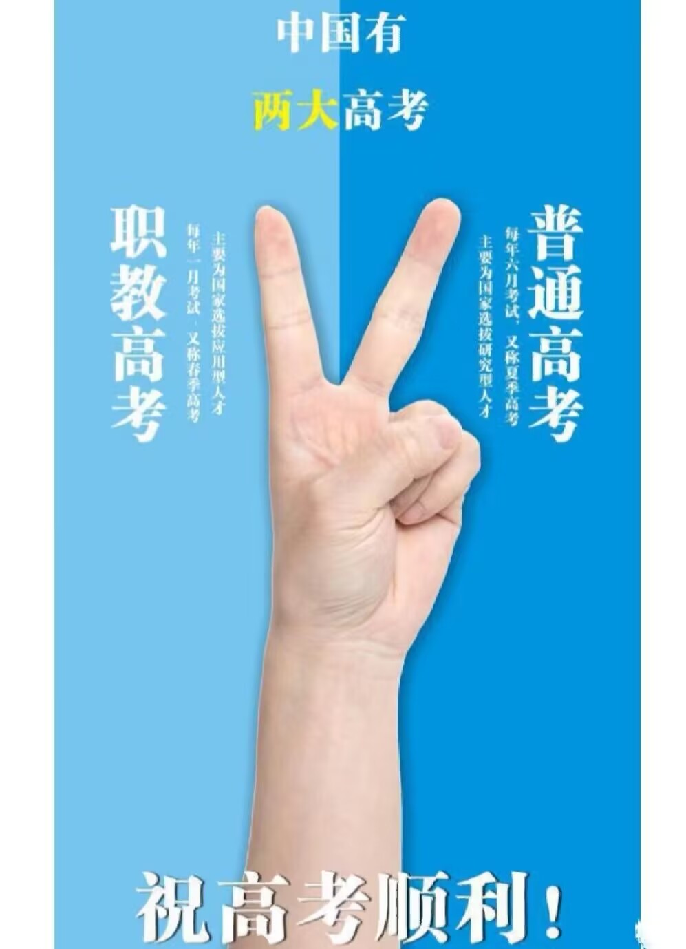 1686301435308197.jpg